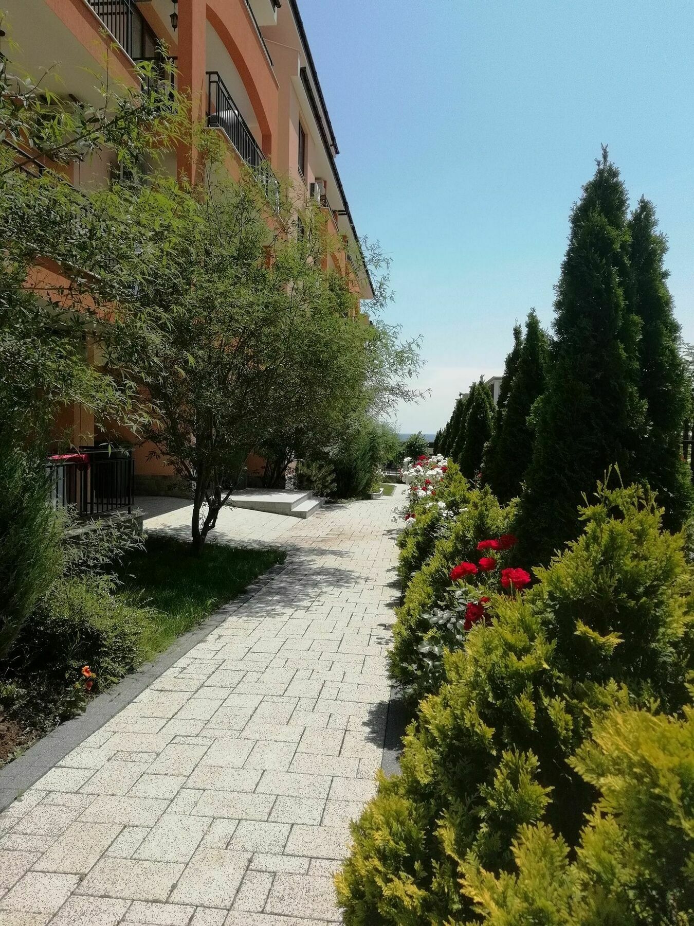 Stardreams Apartments Sweti Wlas Exterior foto